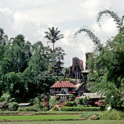 Célèbes - Sulawesi