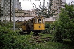 Brésil 1984003