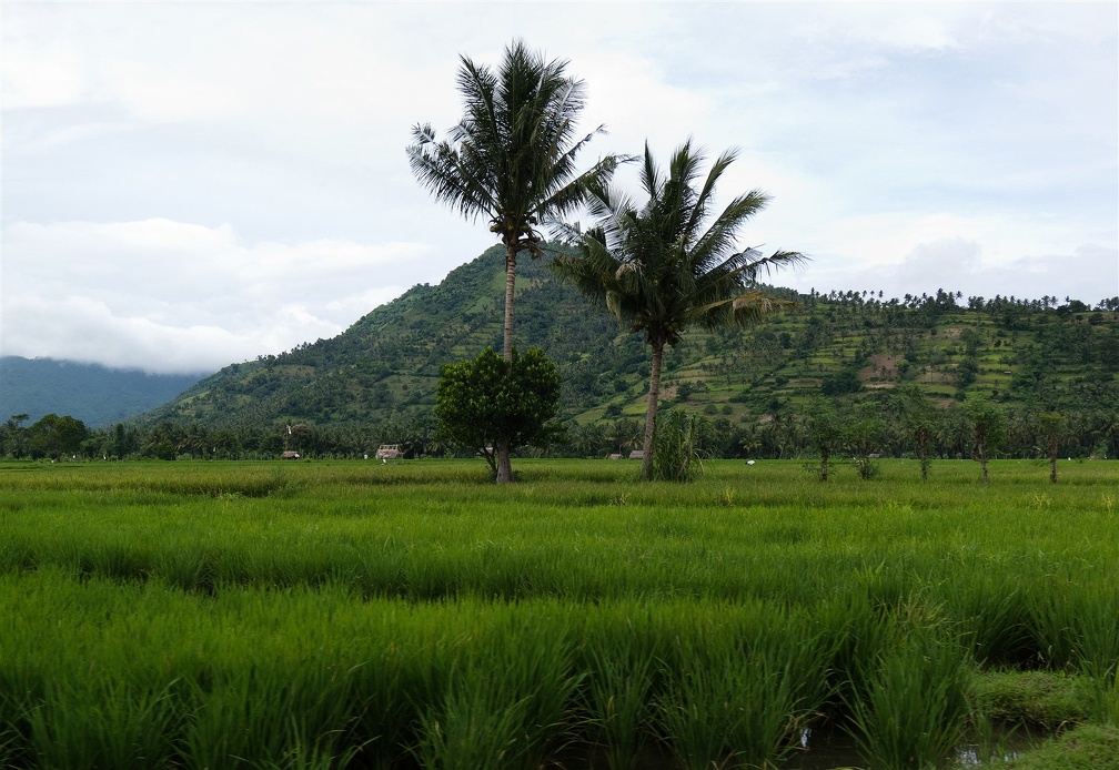 Lombok, Sengigi (6)