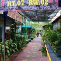 20010799